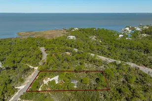 1208 Sea Dune Dr, Saint George Island, FL 32328 - Photo 43
