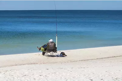 124 Meadow Ln, Wewahitchka, FL 32465 - Photo 13