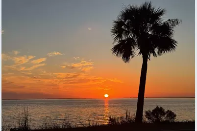 136 Meadow Ln, Wewahitchka, FL 32465 - Photo 5