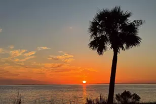 136 Meadow Ln, Wewahitchka, FL 32465 - Photo 5