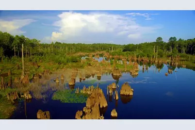 136 Meadow Ln, Wewahitchka, FL 32465 - Photo 7