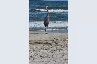 673 Wilderness Rd, Eastpoint, FL 32328 - Photo 43