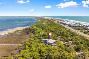 1725 E Gulf Beach Dr, Saint George Island, FL 32328 - Photo 57