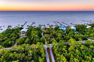 2035 Turpentine Trail, Saint George Island, FL 32328 - Photo 5