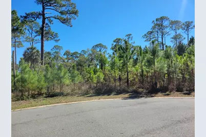 Lot 13 Sweet Bay Ln, Port Saint Joe, FL 32456 - Photo 3