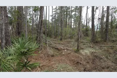 964 E Pine Ave, Saint George Island, FL 32328 - Photo 3