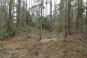964 E Pine Ave, Saint George Island, FL 32328 - Photo 1