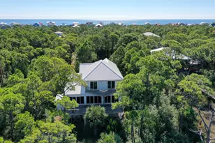 2019 Sand Dollar Trail, Saint George Island, FL 32328 - Photo 5