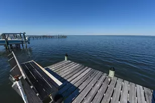 2019 Sand Dollar Trail, Saint George Island, FL 32328 - Photo 7