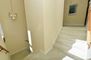 2019 Sand Dollar Trail, Saint George Island, FL 32328 - Photo 29