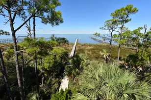 2019 Sand Dollar Trail, Saint George Island, FL 32328 - Photo 41