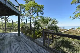 2019 Sand Dollar Trail, Saint George Island, FL 32328 - Photo 11
