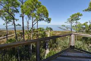 2019 Sand Dollar Trail, Saint George Island, FL 32328 - Photo 39