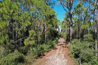 2019 Sand Dollar Trl, Saint George Island, FL 32328 - Photo 59