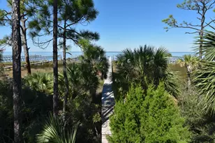 2019 Sand Dollar Trail, Saint George Island, FL 32328 - Photo 55