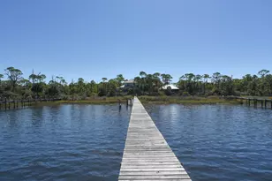 2019 Sand Dollar Trail, Saint George Island, FL 32328 - Photo 57