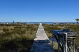 2019 Sand Dollar Trail, Saint George Island, FL 32328 - Photo 53