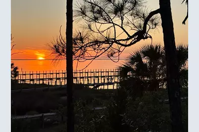 2019 Sand Dollar Trl, Saint George Island, FL 32328 - Photo 13