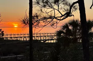 2019 Sand Dollar Trail, Saint George Island, FL 32328 - Photo 13