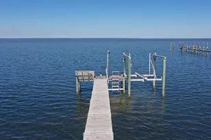 2019 Sand Dollar Trail, Saint George Island, FL 32328 - Photo 3