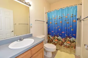 2019 Sand Dollar Trail, Saint George Island, FL 32328 - Photo 45