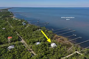 2019 Sand Dollar Trail, Saint George Island, FL 32328 - Photo 49