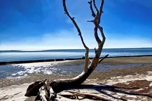 5 Indian Mounds Dr, Eastpoint, FL 32328 - Photo 1