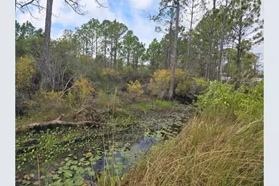 1845 Beacon St, Carrabelle, FL 32322 - Photo 5