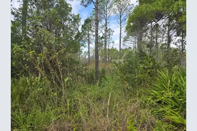 1845 Beacon St, Carrabelle, FL 32322 - Photo 3