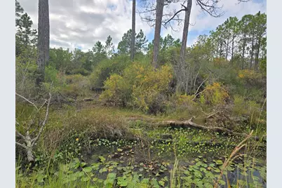 1845 Beacon St, Carrabelle, FL 32322 - Photo 7