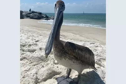 1120 15th St #3-A, Mexico Beach, FL 32456 - Photo 17