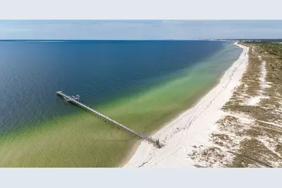 956 Backwater Rd, Port Saint Joe, FL 32456 - Photo 5