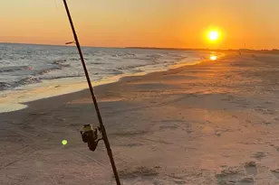 956 Backwater Rd, Port Saint Joe, FL 32456 - Photo 37