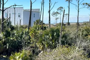 109 Curve Rd, Port Saint Joe, FL 32456 - Photo 53