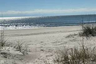109 Curve Rd, Port Saint Joe, FL 32456 - Photo 29