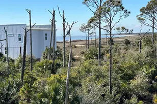 109 Curve Rd, Port Saint Joe, FL 32456 - Photo 33