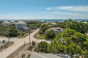 601 W Pine Ave, Saint George Island, FL 32328 - Photo 39