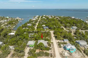 601 W Pine Ave, Saint George Island, FL 32328 - Photo 21