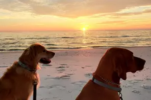 3050 Hwy 98 W, Port Saint Joe, FL 32456 - Photo 43