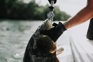 246 Lalla Ln, Mexico Beach, FL 32456 - Photo 29