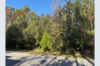 129 Water Oaks Way, Apalachicola, FL 32320 - Photo 5