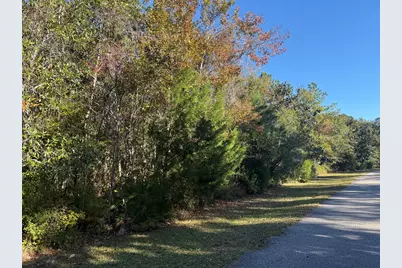 129 Water Oaks Way, Apalachicola, FL 32320 - Photo 3