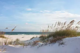 120 Sunray Ct, Port Saint Joe, FL 32456 - Photo 29