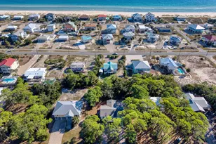 924 E Pine Ave, Saint George Island, FL 32328 - Photo 53