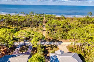 924 E Pine Ave, Saint George Island, FL 32328 - Photo 41