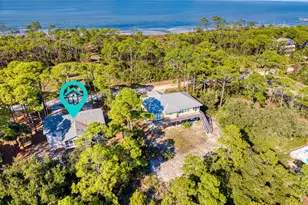924 E Pine Ave, Saint George Island, FL 32328 - Photo 45