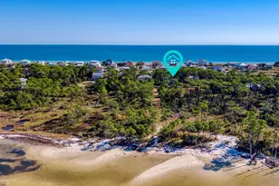 924 E Pine Ave, Saint George Island, FL 32328 - Photo 39