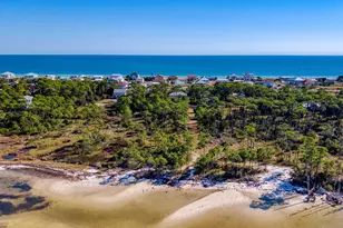 924 E Pine Ave, Saint George Island, FL 32328 - Photo 39