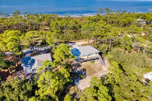 924 E Pine Ave, Saint George Island, FL 32328 - Photo 45