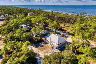 924 E Pine Ave, Saint George Island, FL 32328 - Photo 43